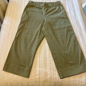 J. Crew Olive Green Astrid Chino Pant